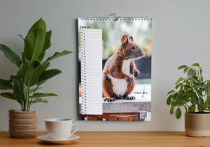Illustration: Auf einem Tisch stehen Pflanzen und eine Tasse. An der Wand hängt der Kalender.