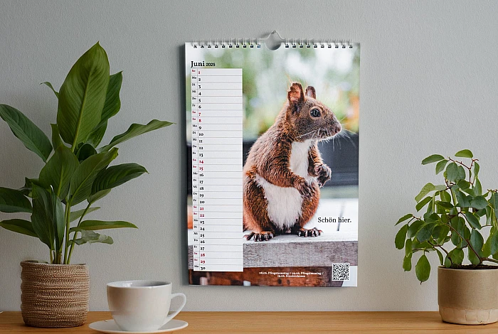 Illustration: Auf einem Tisch stehen Pflanzen und eine Tasse. An der Wand hängt der Kalender.