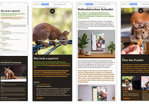 Verschiedene Screenshots der Site