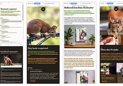 Verschiedene Screenshots der Site