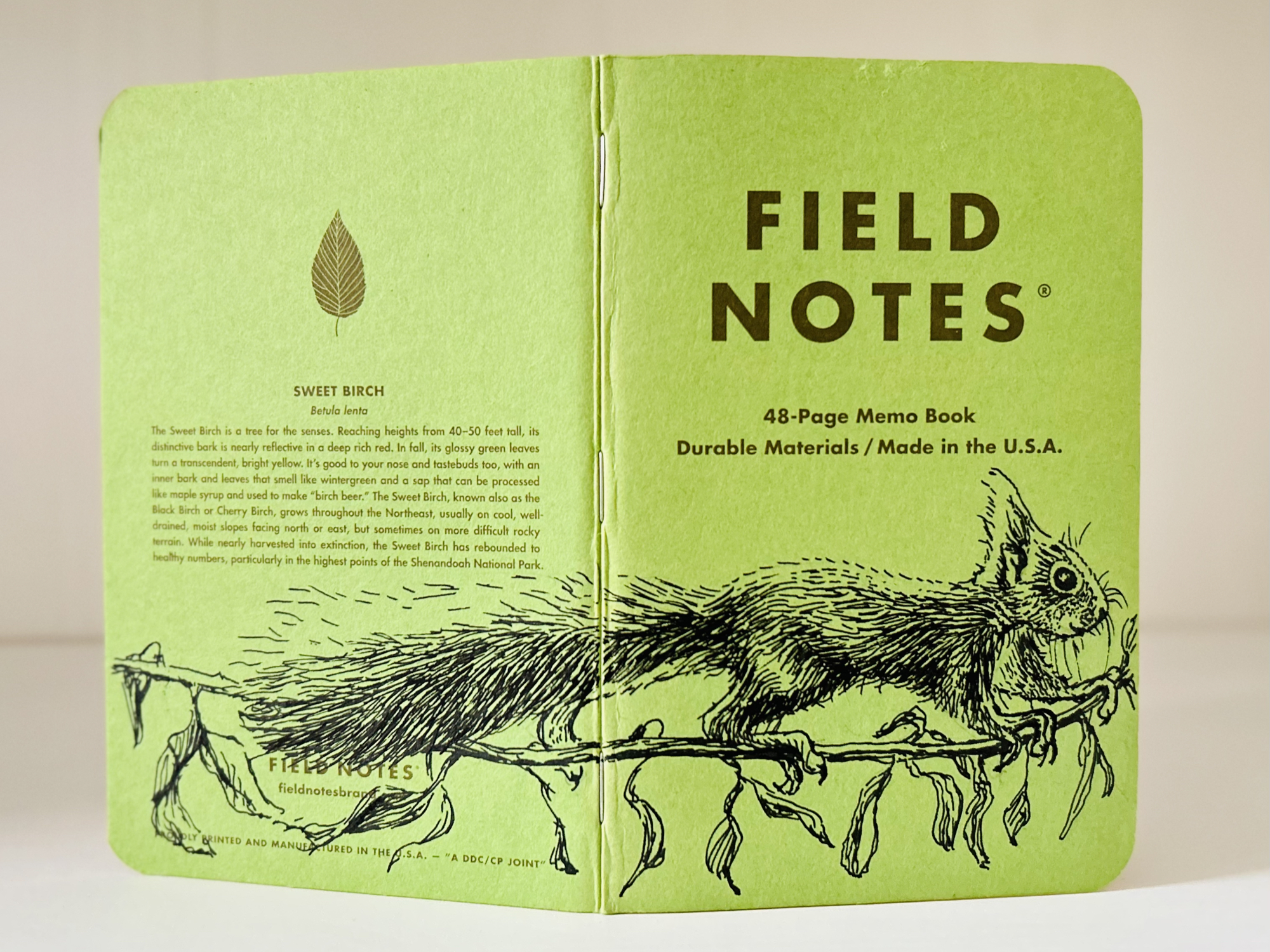 Ein grünes Notizbuch steht aufgeklappt auf einer hellen Oberfläche. Über den Rücken erstreckt sich die Zeichnung eines Eichhörnchens, das auf einem Ast läuft.