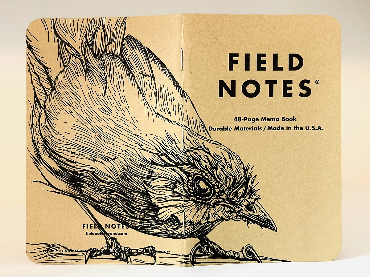 Foto eines stehenden und aufgeklappten Field Notes Heftes. Über den Rücken erstreckt sich die schwarze Tintezeichnung einer Amsel, die nach rechts schaut.