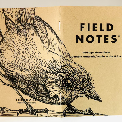 Foto eines stehenden und aufgeklappten Field Notes Heftes. Über den Rücken erstreckt sich die schwarze Tintezeichnung eines Rotkehlchens, das geduckt nach rechts schaut.