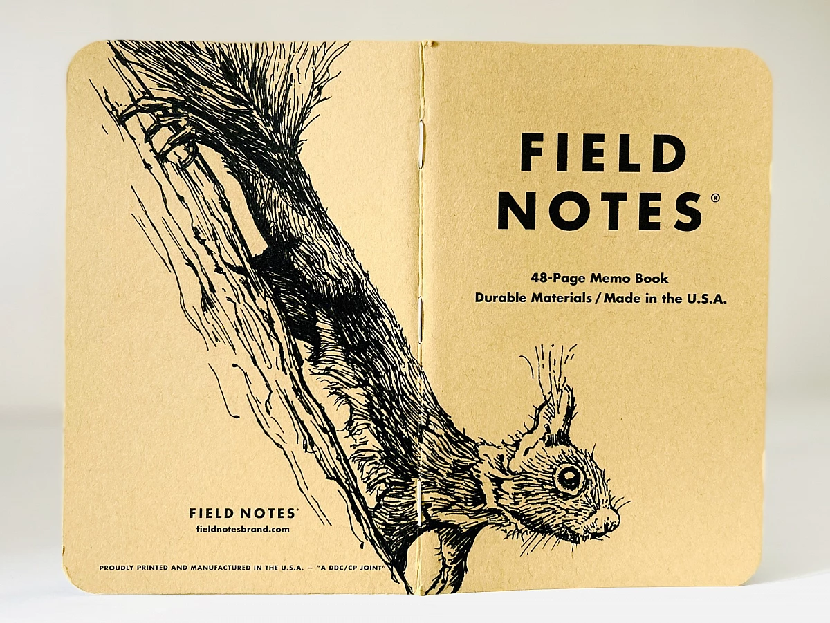 Foto eines stehenden und aufgeklappten Field Notes Heftes. Über den Rücken erstreckt sich die schwarze Tintezeichnung eines kleinen Eichhörnchens, das an einem Baum abwärts klettert und den Kopf nach vorn streckt.