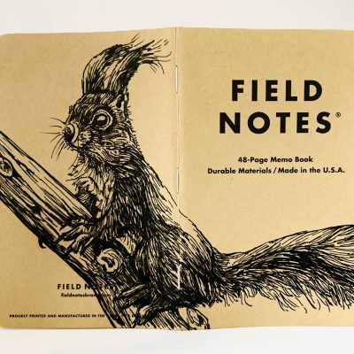 Foto eines aufgeklappten Field Notes Heftes mit Kraft-Papier-Deckel. Die Zeichnung erstreckt sich über den gesamten Buchdeckel und zeigt die detaillierte Illustration eines Eichhörnchens, das auf einem Ast sitzt und aufmerksam aufrecht sitzend nach links schaut.