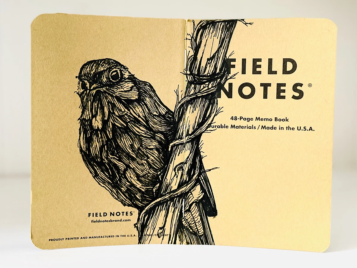 Foto eines stehenden und aufgeklappten Field Notes Heftes. Über den Rücken erstreckt sich die schwarze Tintezeichnung eines Vogels, der an einem Ast hängt.