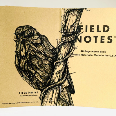 Foto eines stehenden und aufgeklappten Field Notes Heftes. Über den Rücken erstreckt sich die schwarze Tintezeichnung eines Vogels, der an einem Ast hängt.