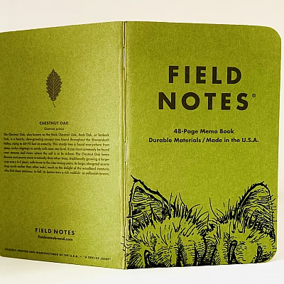 Ein aufrecht stehendes und aufgeklapptes grünes Field Notes Heft, auf dem am unteren rechten Rand zwei haarige Katzenpfoten und dahinter zwei Ohren zu sehen sind.