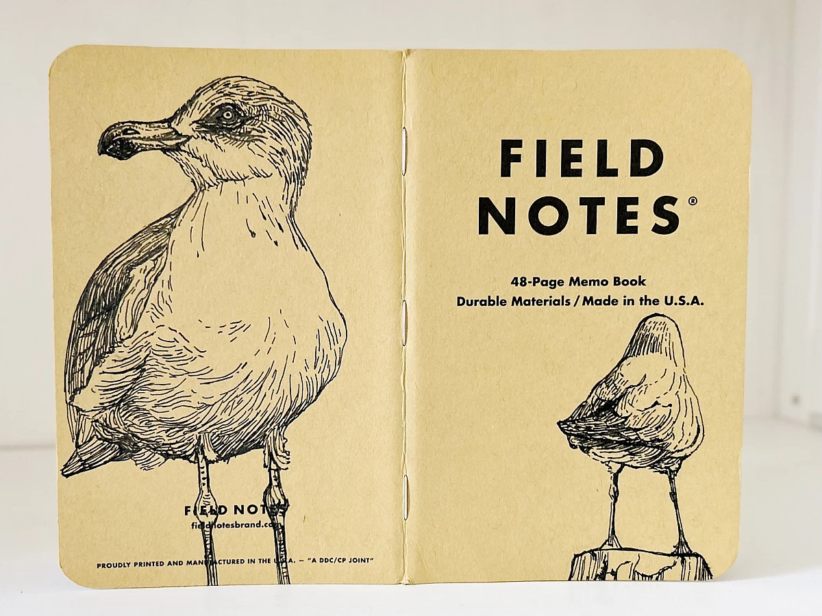 Ein aufgeklapptes Field Notes Heft auf dessen Rücken aus Kraft-Papier sich zwei schwarze Zeichnungen von Möwen befinden. Links das Bild einer Möwe, die nach links schaut. Rechts eine Möwe von hinten, die auf einem Pfahl steht.