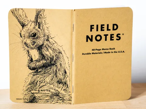 Ein aufgeklapptes Field Notes Heft auf dessen Rücken aus Kraft-Papier sich die Zeichnung eines Eichhörnchens befindet.