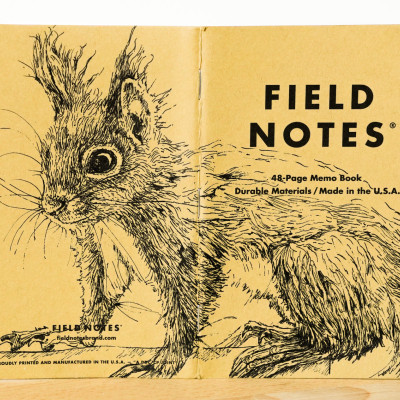 Ein aufgeklapptes Field Notes Heft auf dessen Rücken aus Kraft-Papier sich die Zeichnung eines Eichhörnchens befindet.