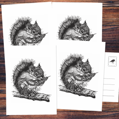 Fünf Postkarten mit der schwarzen Zeichnung eines Eichhörnchens