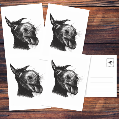 Fünf Postkarten mit der schwarzen Zeichnung eines Esels