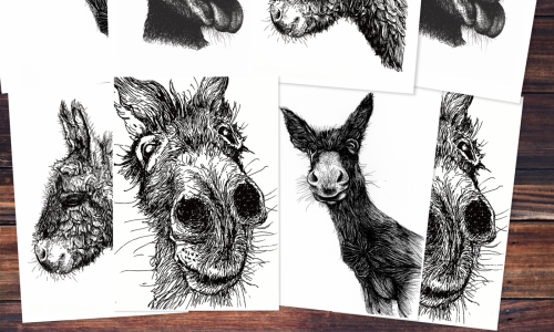 Acht Postkarten mit vier schwarzen Zeichnungen von Eseln