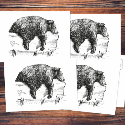 Fünf Postkarten mit der schwarzen Zeichnung eines Bären, der auf einem Baum liegt.