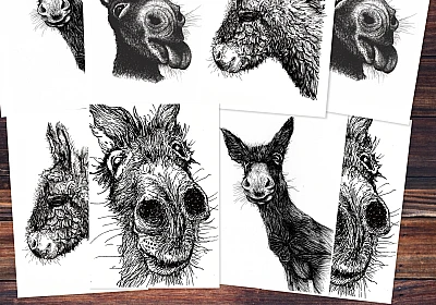Acht Postkarten mit vier schwarzen Zeichnungen von Eseln