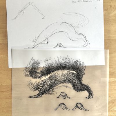 Die Bleistift-Zeichnung eines Eichhörnchens auf einem weißen Blatt und darüber die Tinte-Zeichnung auf Transparentpapier. Beides liegt auf einem Holztisch.