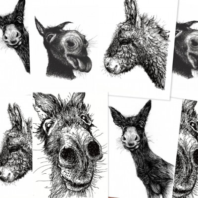 Vorschau auf das Eselpaket mit vier verschiedenen schwarzweissen Zeichnungen von Eseln.