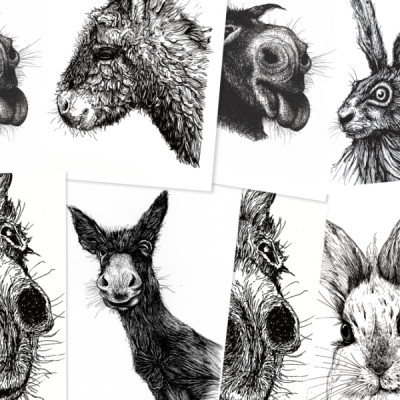 Eine Collage von mehreren Karten. Zu sehen sind Zeichnungen von Eseln und Hasen.
