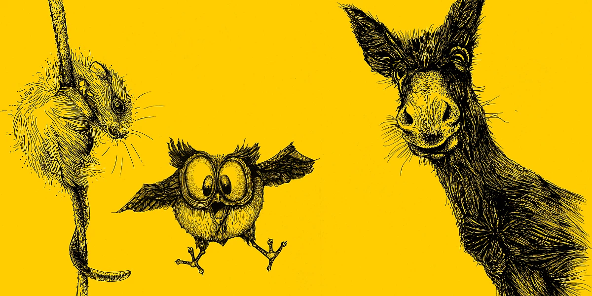 Eine Collage von drei schwarzweissen Zeichnungen auf gelbem Grund: Eine Maus, eine Eule und ein Esel.