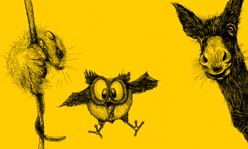 Eine Collage von drei schwarzweissen Zeichnungen auf gelbem Grund: Eine Maus, eine Eule und ein Esel.
