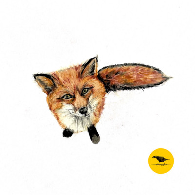 Farbige Zeichnung eines Fuchses