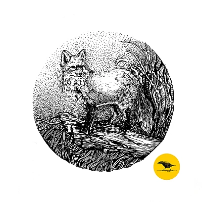 Schwarzweisse Tintezeichnung eines Fuchses