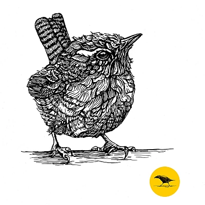 Schwarzweisse Tintezeichnung eines Vogels