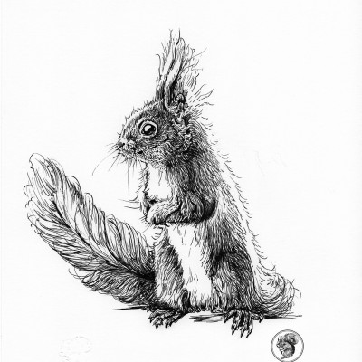 Schwarze Zeichnung eines Eichhörnchens.