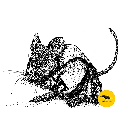 Schwarzweisse Tintezeichnung einer Maus