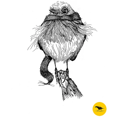 Schwarzweisse Tintezeichnung eines Vogels