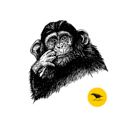 Schwarzweisse Tintezeichnung eines Affen