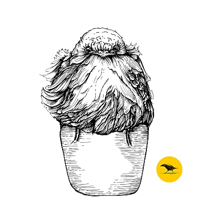 Schwarzweisse Tintezeichnung eines Vogels, der auf einem Becher sitzt