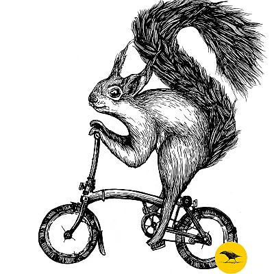 Schwarzweisse Tintezeichnung eines Eichhörnchens, das Fahrrad fährt