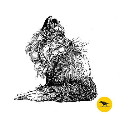 Schwarzweisse Tintezeichnung eines Fuchses