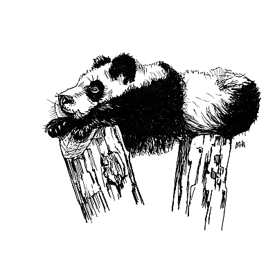 Schwarze Zeichnung eines Pandas