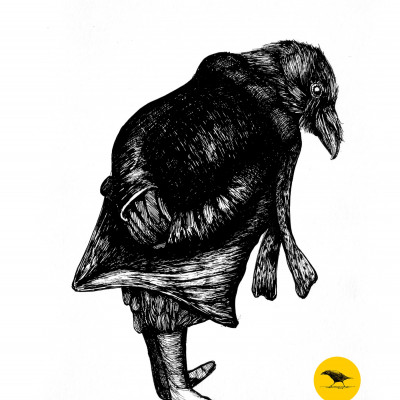 Schwarzweisse Tintezeichnung eines Vogels mit Mantel und Schal