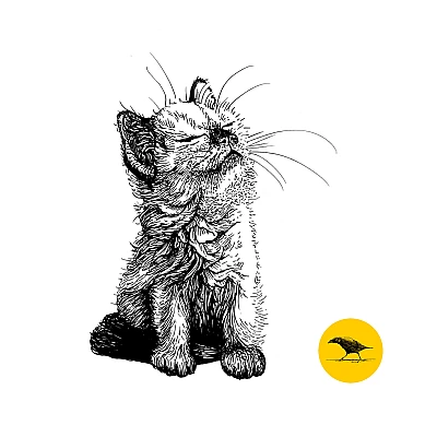 Schwarzweisse Tintezeichnung einer Katze