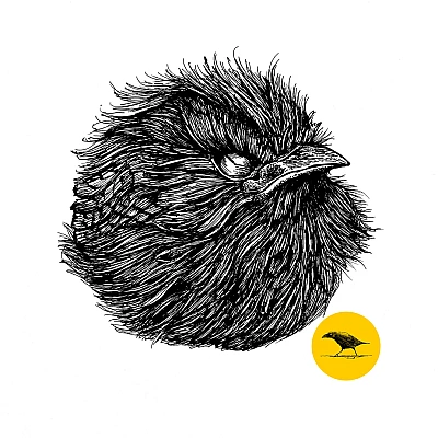 Schwarzweisse Tintezeichnung eines Vogels