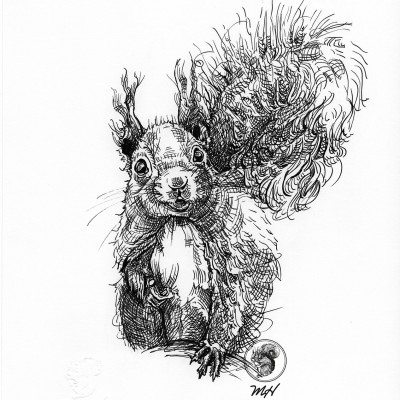 Schwarze Zeichnung eines Eichhörnchens.