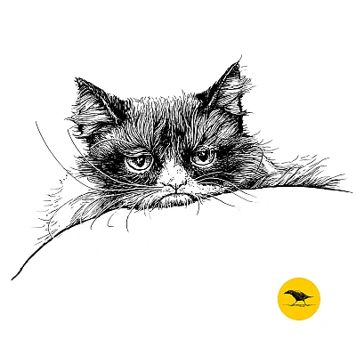 Schwarzweisse Tintezeichnung einer Katze