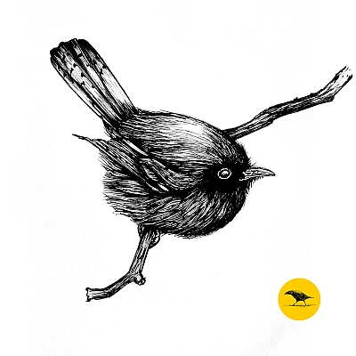 Schwarzweisse Tintezeichnung eines Vogels