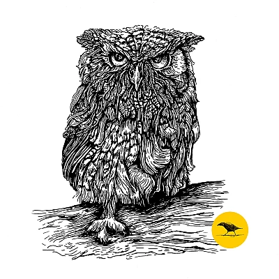 Schwarzweisse Tintezeichnung einer Eule