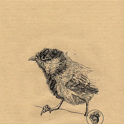 Schwarze Zeichnung eine Meise.