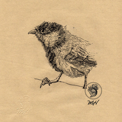 Schwarze Zeichnung eine Meise.