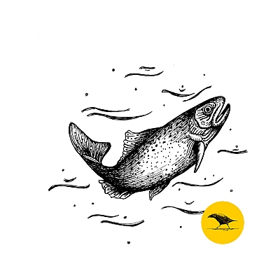 Schwarzweisse Tintezeichnung eines Fisches