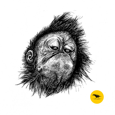 Schwarzweisse Tintezeichnung eines Affen