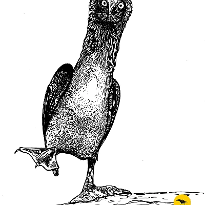 Schwarzweisse Tintezeichnung eines Vogels