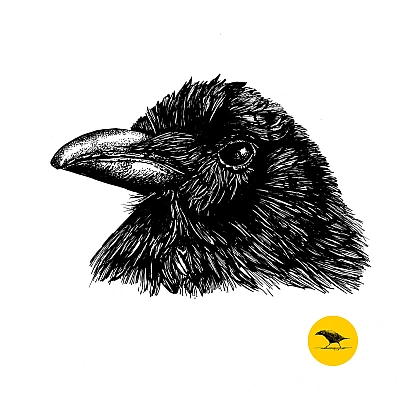 Schwarzweisse Tintezeichnung eines Vogels