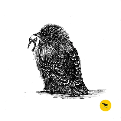 Schwarzweisse Tintezeichnung eines Vogels